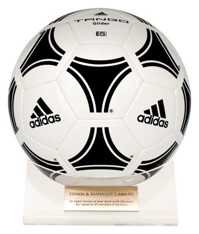 Acrylic Ball Holder stand