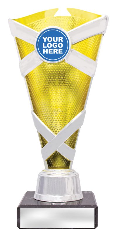 Gold / Silver Spectrum Cup