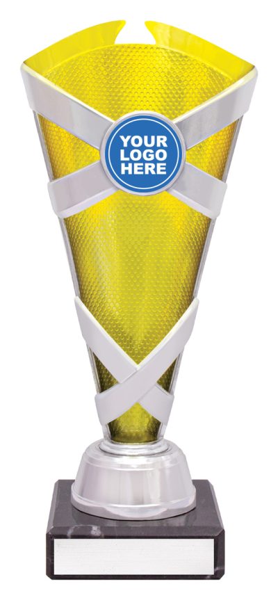 Gold / Silver Spectrum Cup