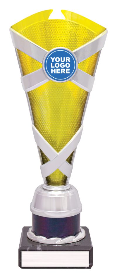 Gold / Silver Spectrum Cup