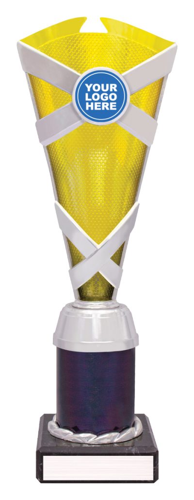 Gold / Silver Spectrum Cup