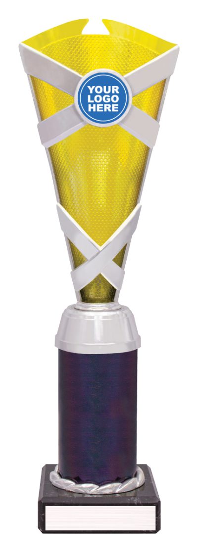 Gold / Silver Spectrum Cup