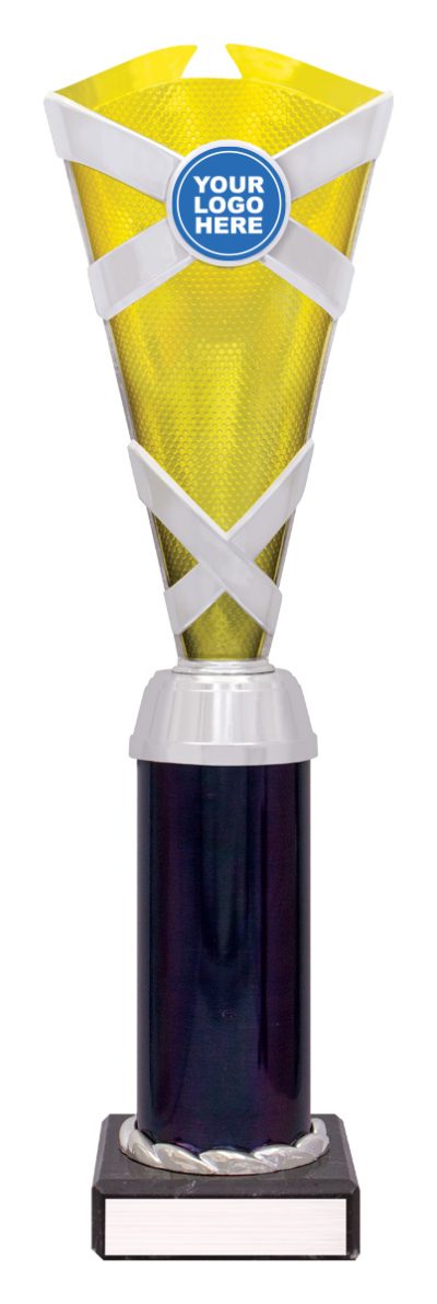 Gold / Silver Spectrum Cup