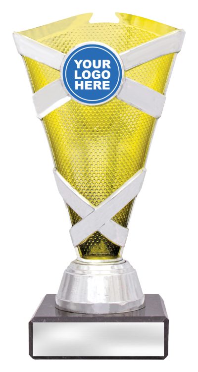 Gold / Silver Spectrum Cup